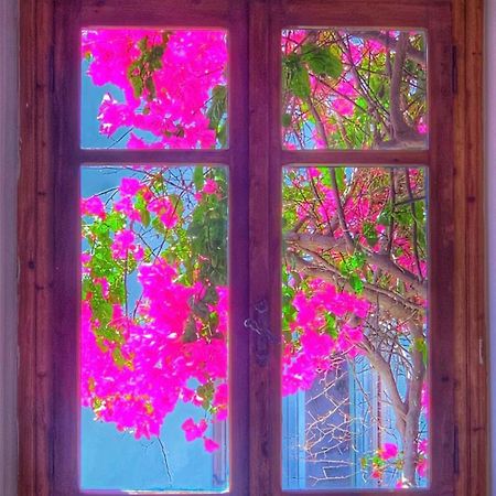 Mare Naxia Hotel Naxos City ภายนอก รูปภาพ